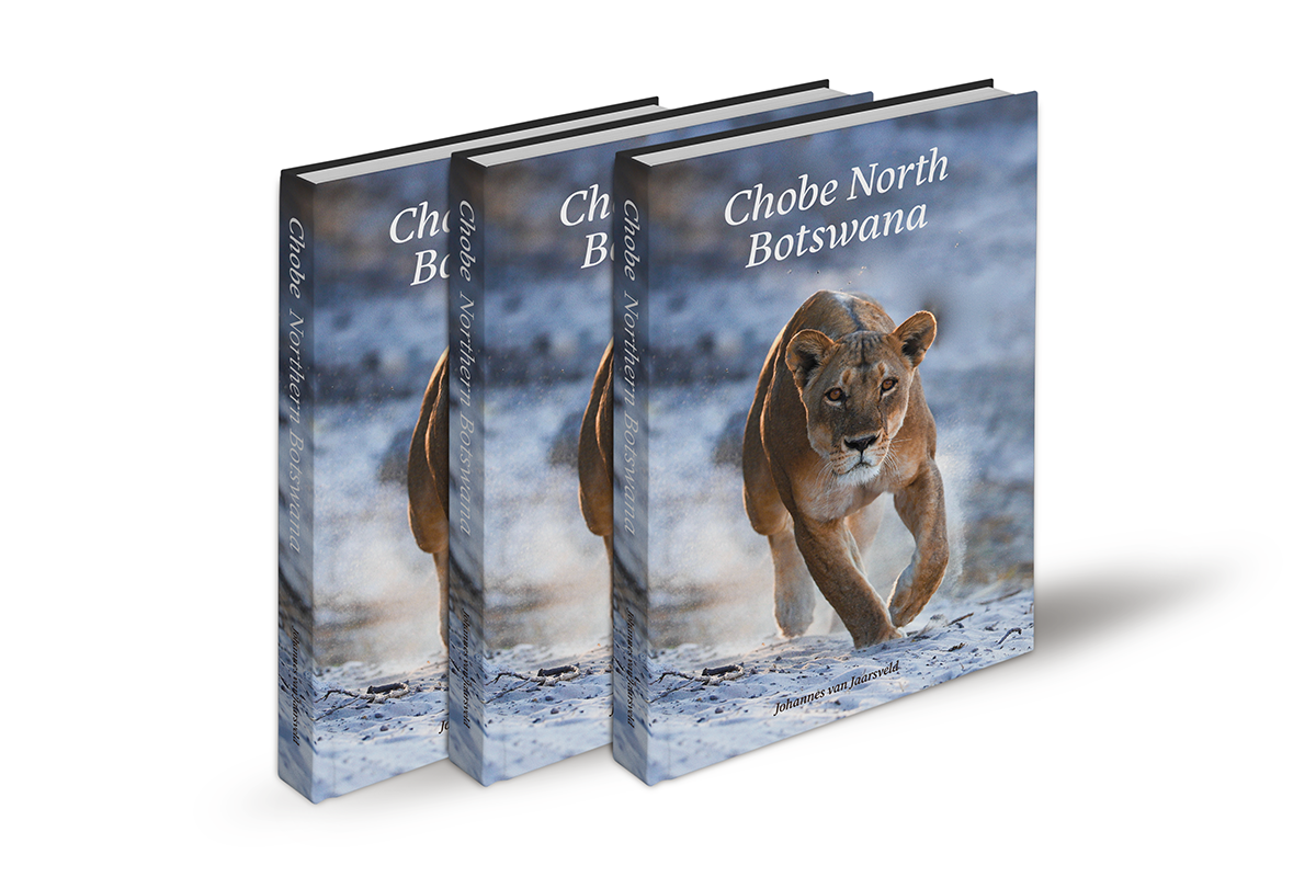 A stack of coffee table books