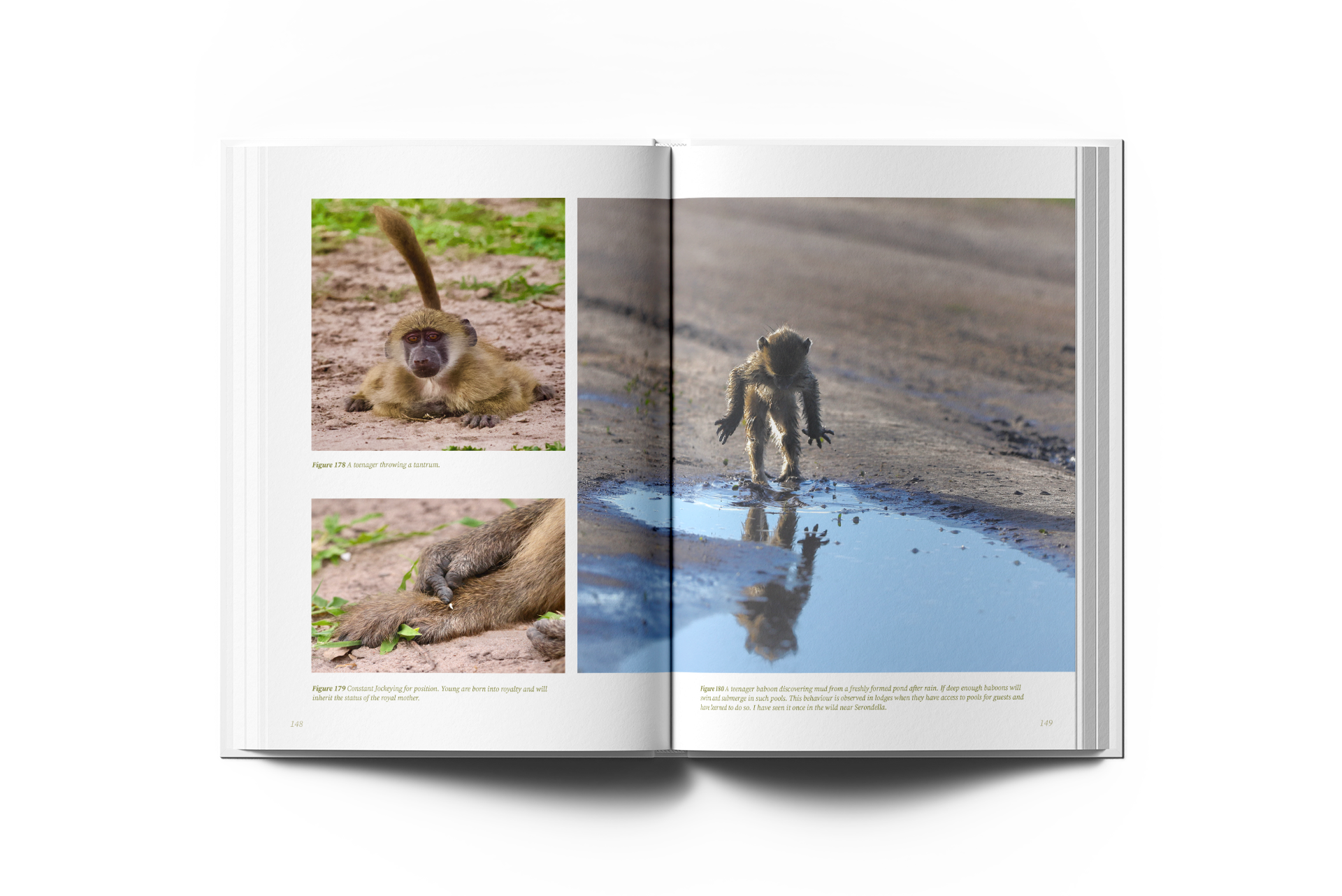 Coffee table book covers and spine